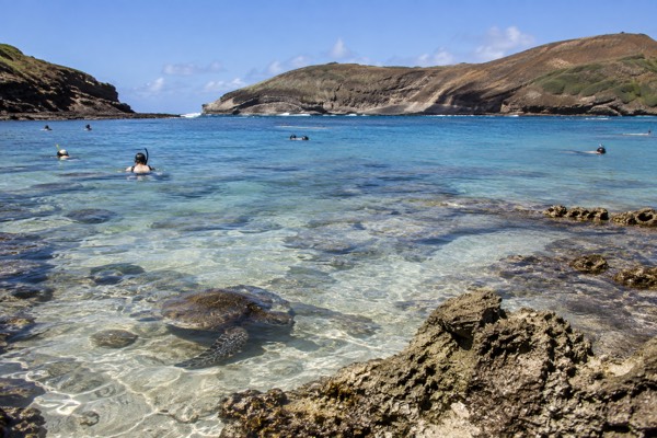 Hanauma Bay Snorkeling from Waikiki