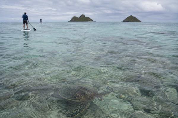 Kayak To The Mokulua Islands, Oahu