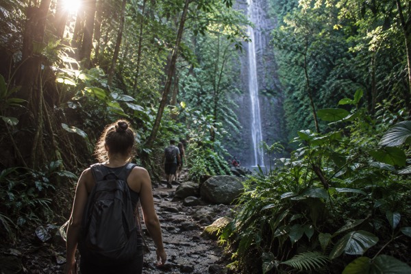 Rainforest Waterfall, Self-Guided, Oahu