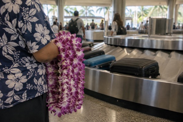 Real Lei Greeting At Baggage Claim, Oahu