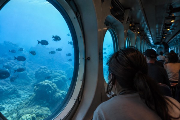 Passengers aboard a submarine descending below Waikiki