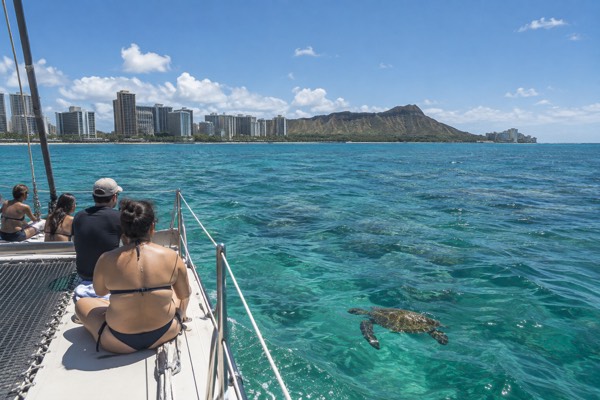 Turtle Canyon, Turtles Guaranteed, Oahu