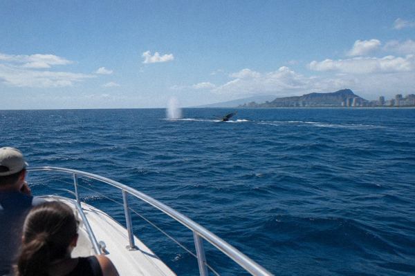 Boat heading out from Waikiki Harbor on a whale watching trip