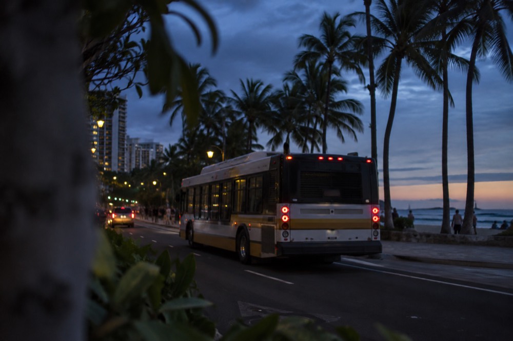 A Honolulu city bus on a palm-lined street near the beach