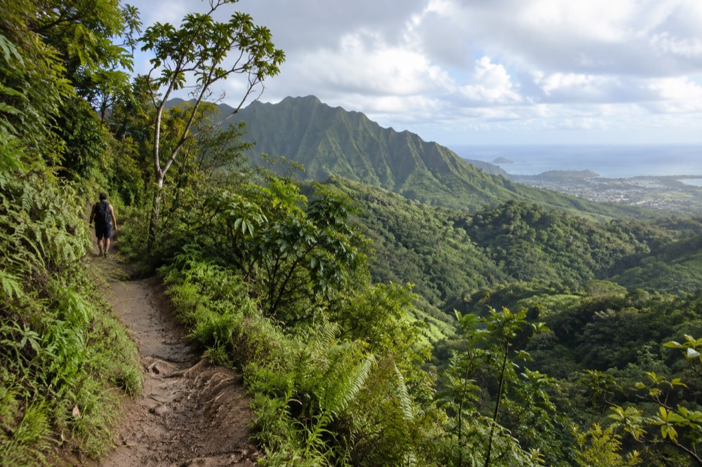 An Oahu trail winding through green rainforest toward a distant ridge