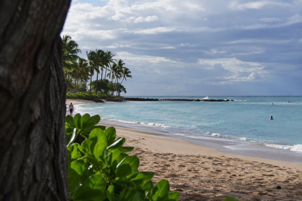 A quiet Oahu beach with turquoise water and palm trees along the shore