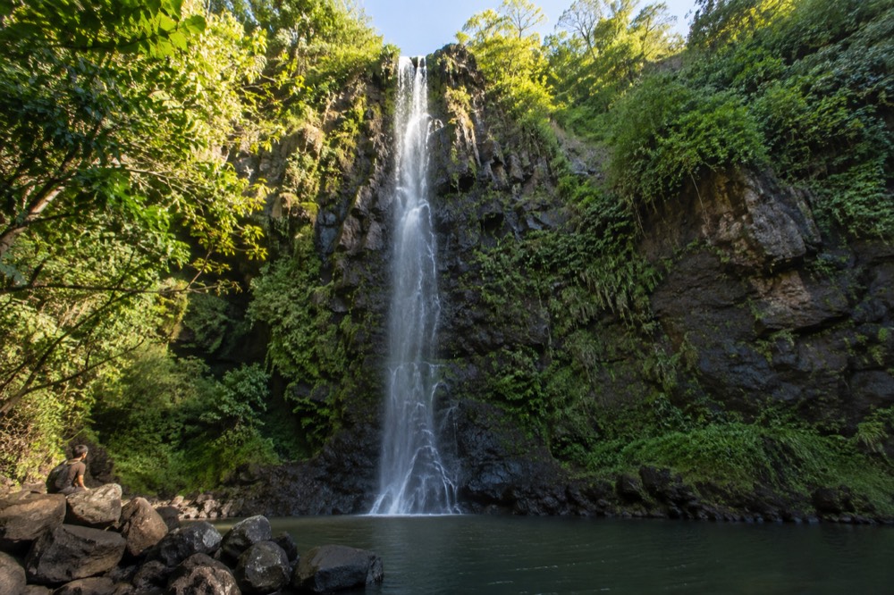 A tall thin waterfall dropping over a dark basalt cliff into a pool ringed by green rainforest vegetation