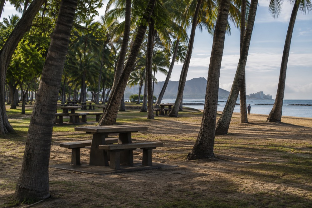 An empty beach park picnic area under palm trees on a weekday morning
