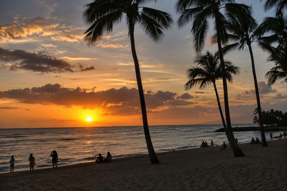 The sun setting over the ocean horizon as seen from an Oahu beach, with silhouetted palm trees