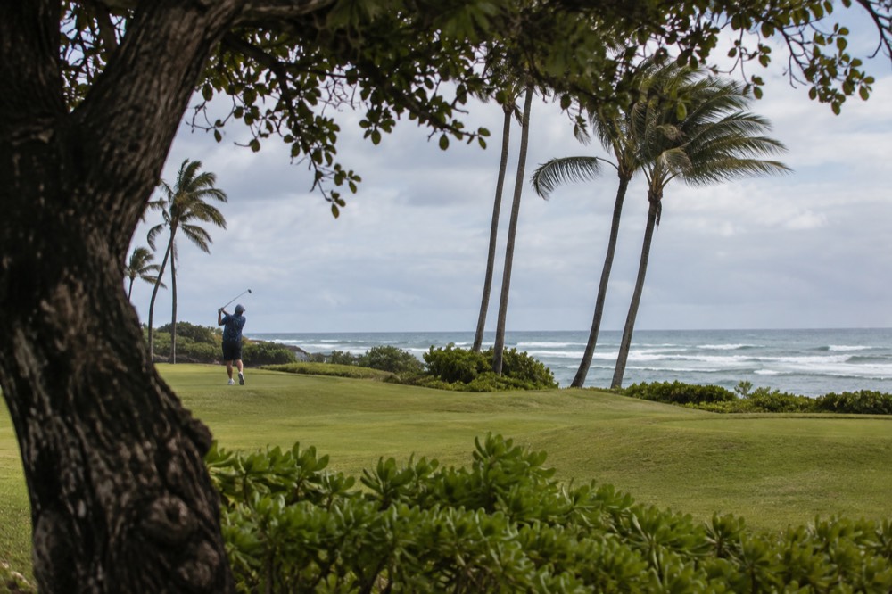 A golf fairway running along a windswept Oahu coastline with palm trees and ocean beyond