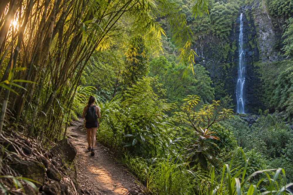 A jungle trail curving through tall green bamboo toward a thin waterfall dropping down a dark cliff face