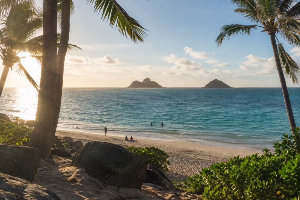 Turquoise water and two small offshore islands seen from a palm-lined sand beach on the windward coast of Oahu