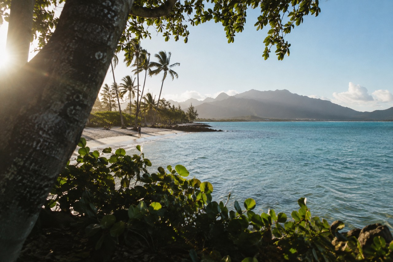 Turquoise water and a palm-lined strip of sand on the windward coast of Oahu under a clear morning sky