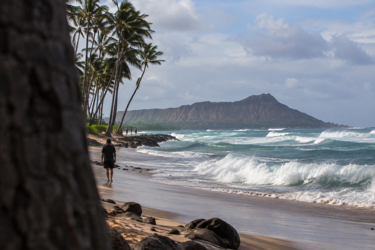 Large ocean waves breaking along a sandy Oahu shoreline with palm trees