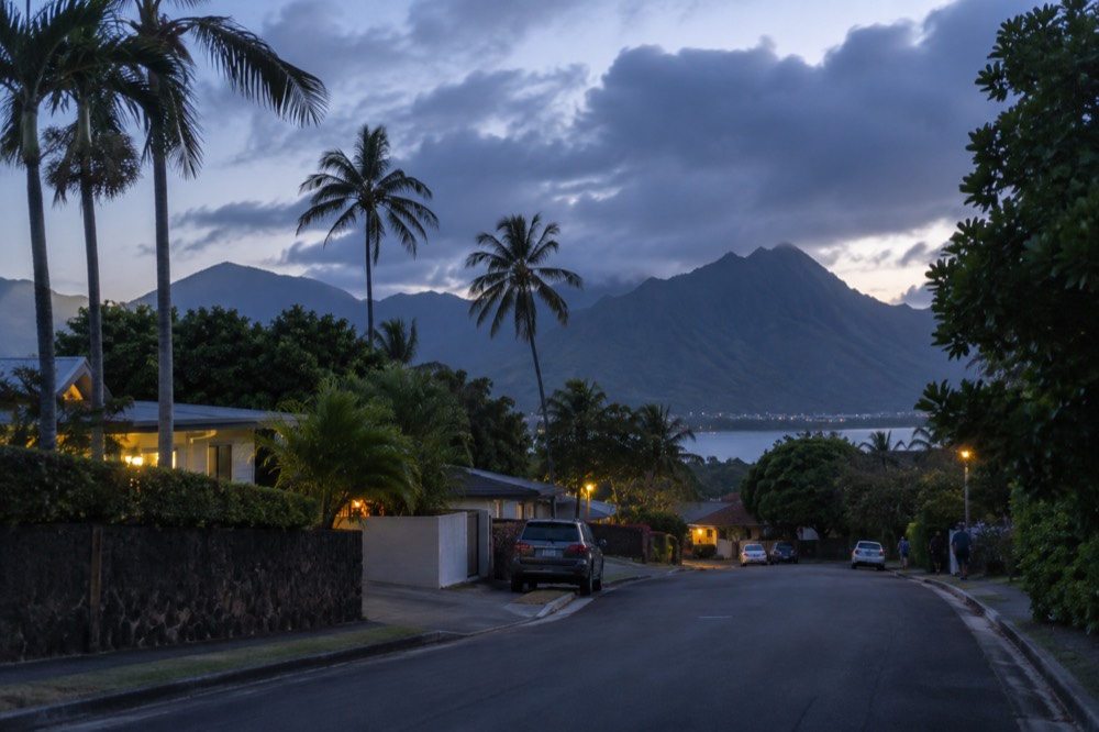 A quiet palm-lined residential street on Oahu's windward coast with green mountains behind it
