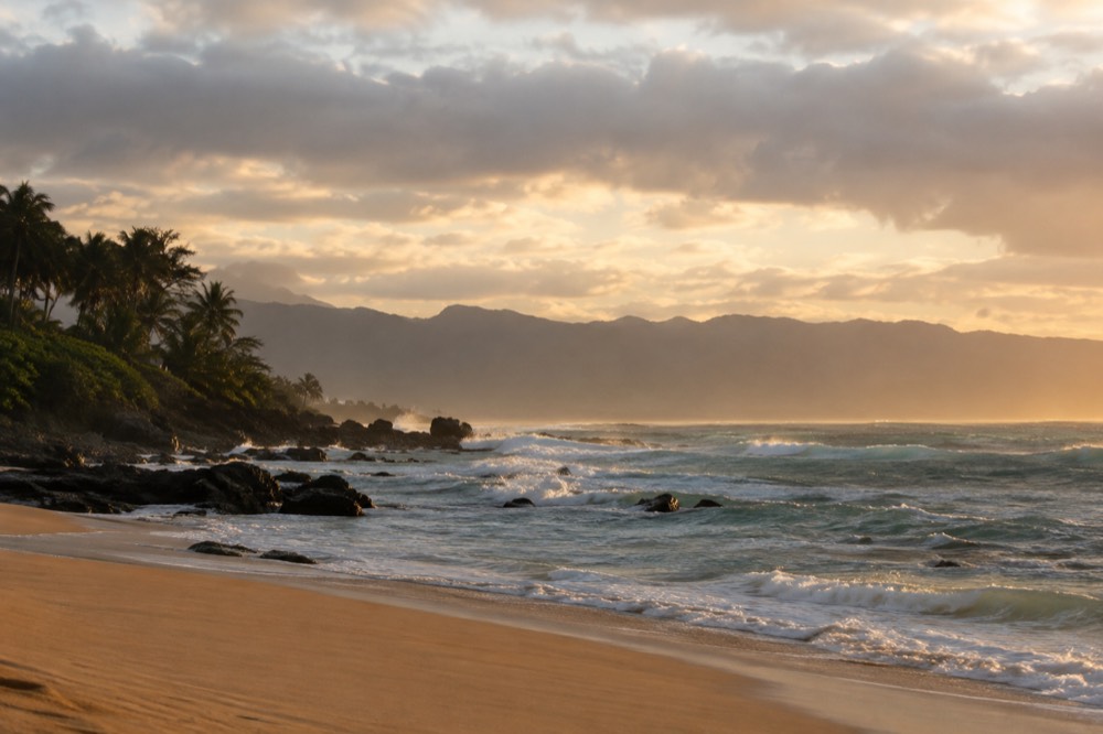 A quiet North Shore beach at golden hour with no people in the frame