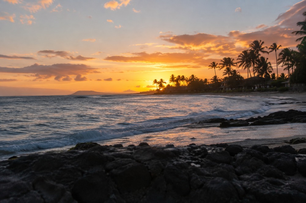 An evening sky over a quiet residential coastline with palm trees silhouetted against orange light