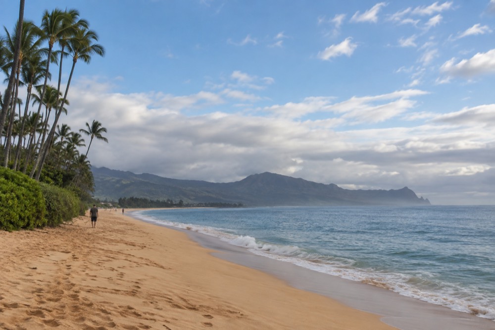 A long sandy beach on the North Shore of Oahu with palm trees and calm morning water