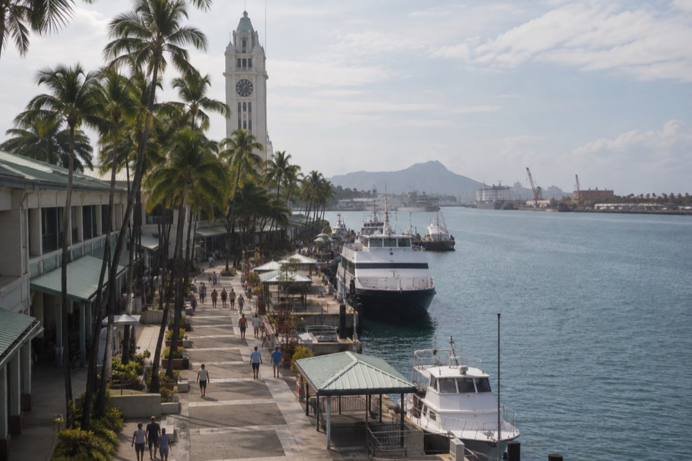 Visitors walking along a waterfront promenade with palm trees, moored boats and a white tower in the background