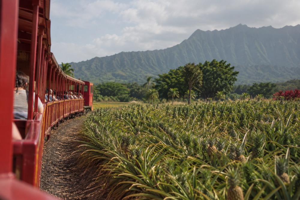 A red plantation train winding past pineapple fields with the Koʻolau mountains behind