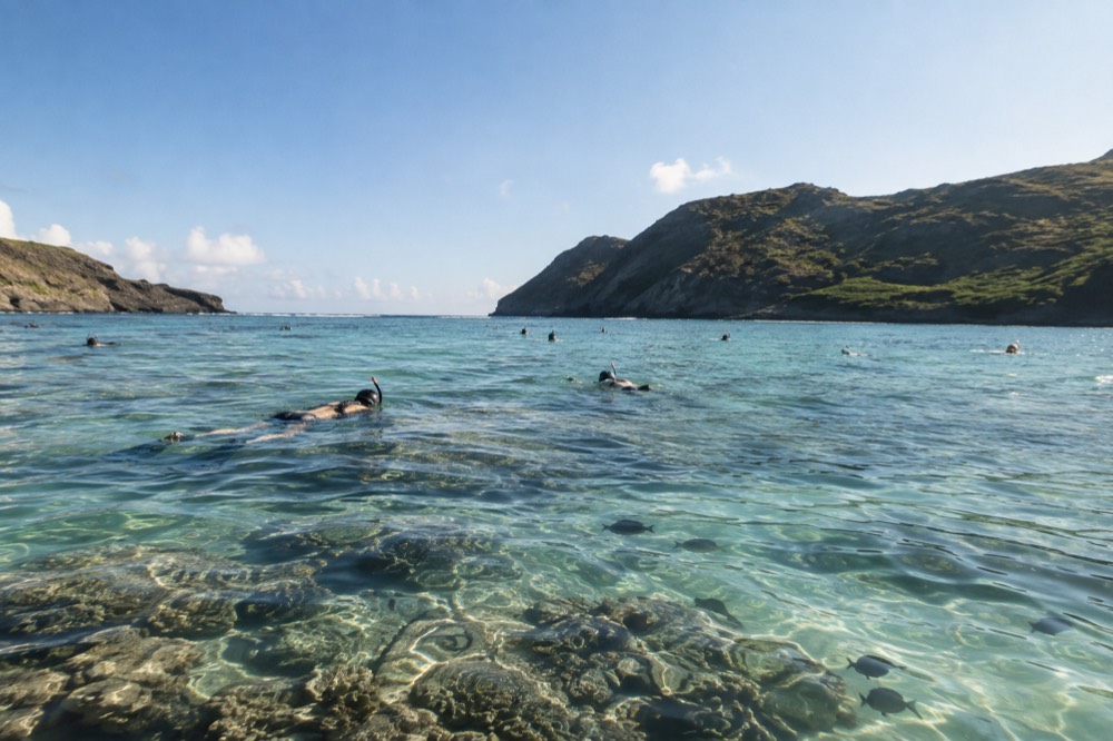 Snorkelers floating over a shallow coral reef in clear blue water with small fish visible near the surface