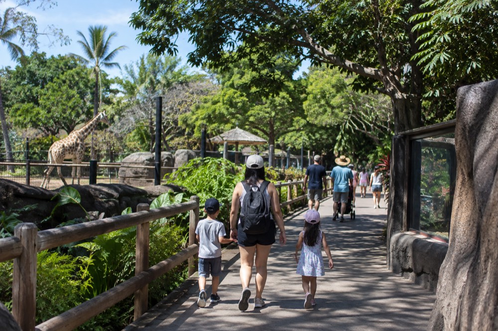 Families walking a shaded path between animal exhibits at the Honolulu Zoo