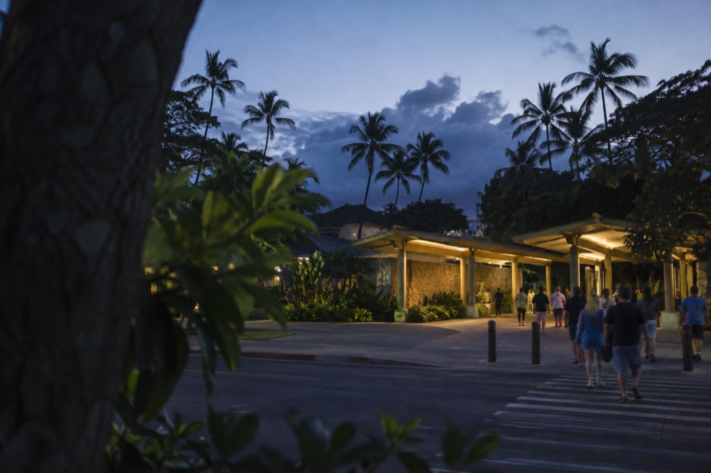 A wide view of the Honolulu Zoo entrance area along Kalākaua Avenue with palm trees