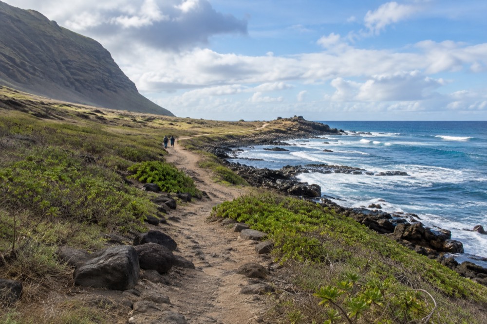 An unpaved coastal trail curving toward a low rocky point under a wide blue sky, with ocean on one side and dry lowland shrubs on the other