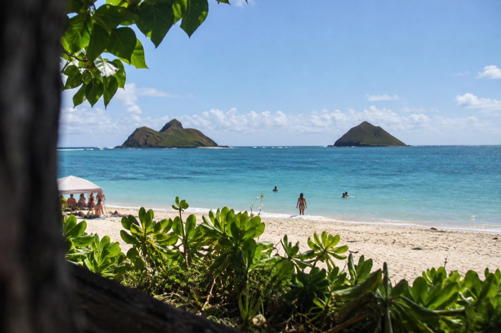 Two small tree-covered islands rising from calm blue water, seen from the sand at Lanikai Beach