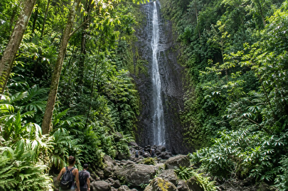 A tall thin waterfall spilling over a dark volcanic cliff surrounded by dense green jungle