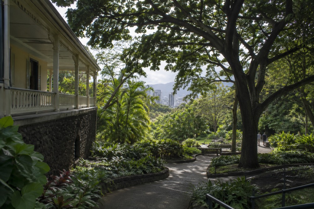 Shaded garden paths winding beneath large tropical trees beside a historic veranda
