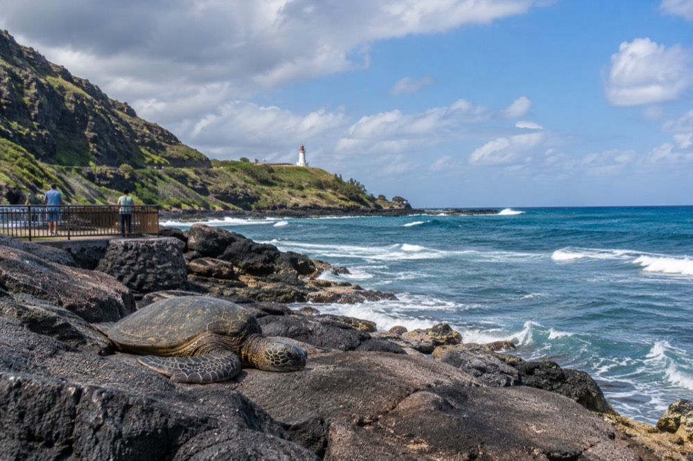 A coastal marine park on a green headland with the ocean and a lighthouse in the background