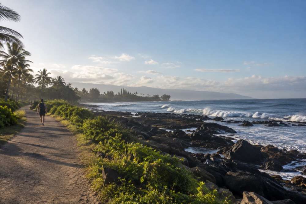 A coastal walking path beside a rocky shoreline with breaking waves in the distance