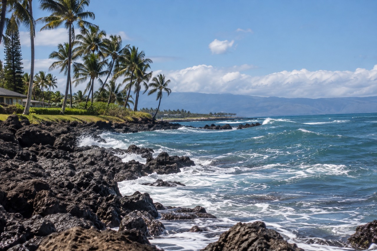 Ocean waves rolling onto a rocky point with a green lawn and palm trees in the background