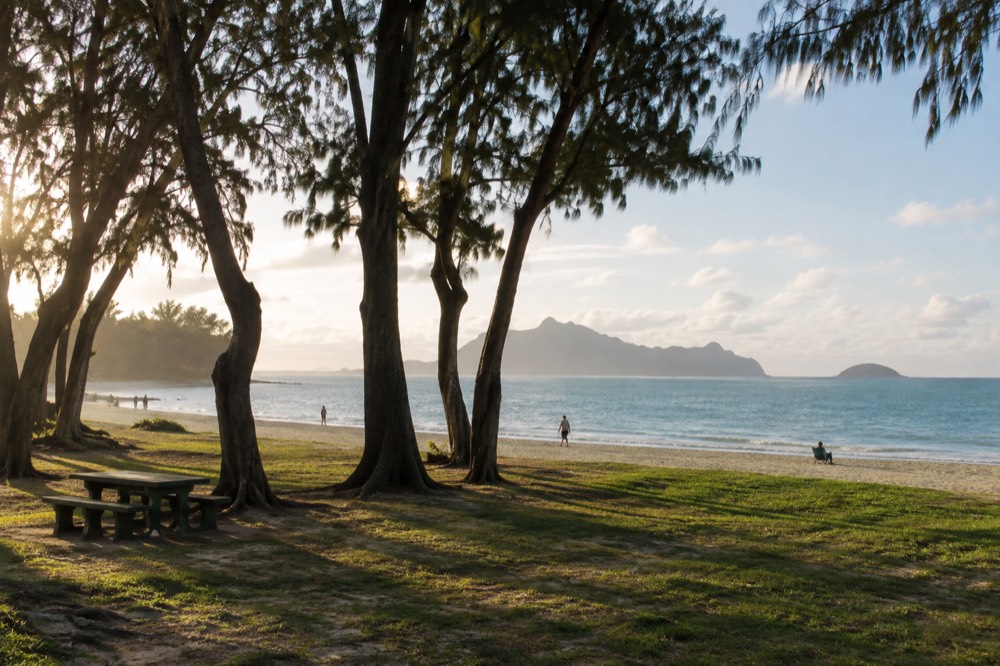 Grass picnic area and ironwood trees at Waimanalo Beach Park with the sand and calm bay beyond