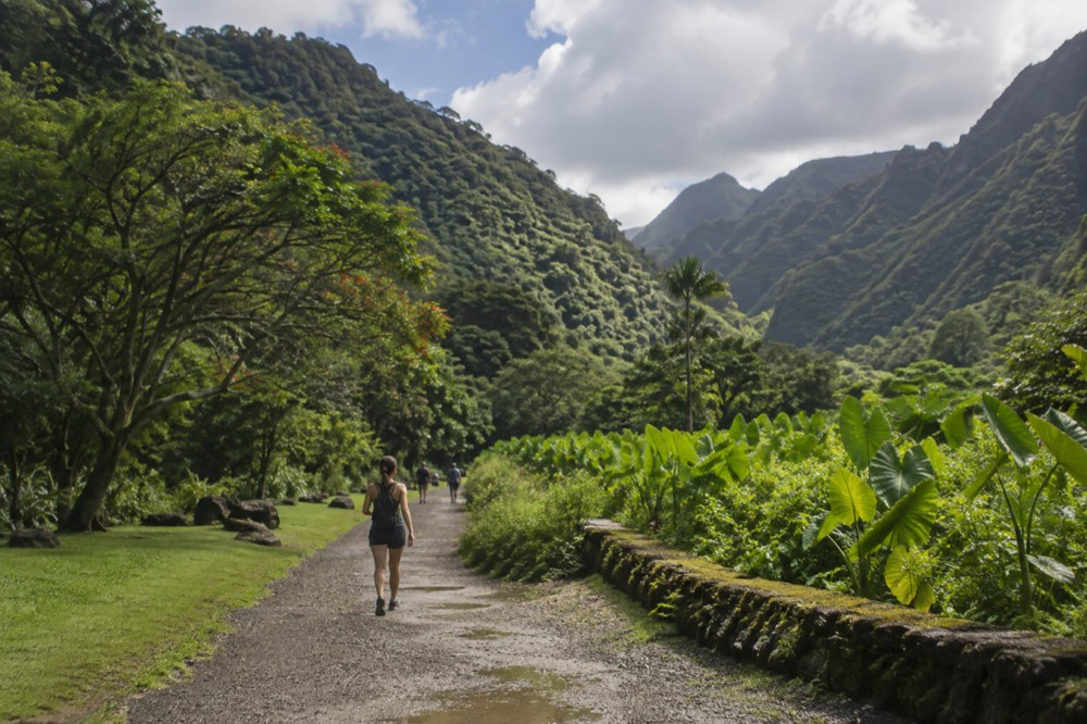 A wide valley floor covered in green foliage with tall ridges rising on both sides under a partly cloudy sky.