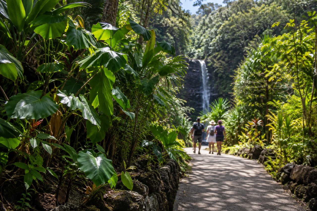 A paved path leading through dense green rainforest toward a waterfall in a volcanic valley on Oahu.