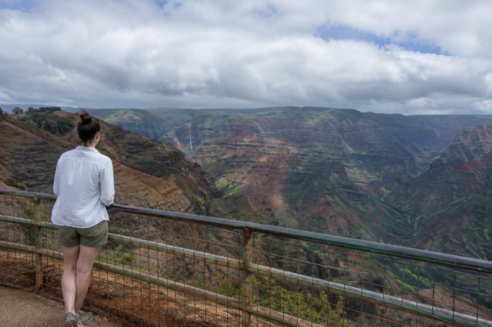 A visitor looking out over the red and green layered walls of a large Pacific canyon from a roadside lookout