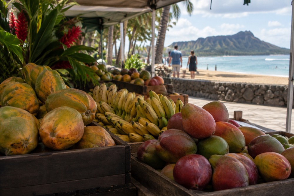 A farmers market stall with papayas, apple bananas and mangoes displayed in the shade