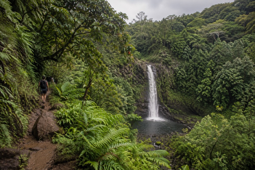 A waterfall dropping through dense green rainforest on a valley trail on Oahu