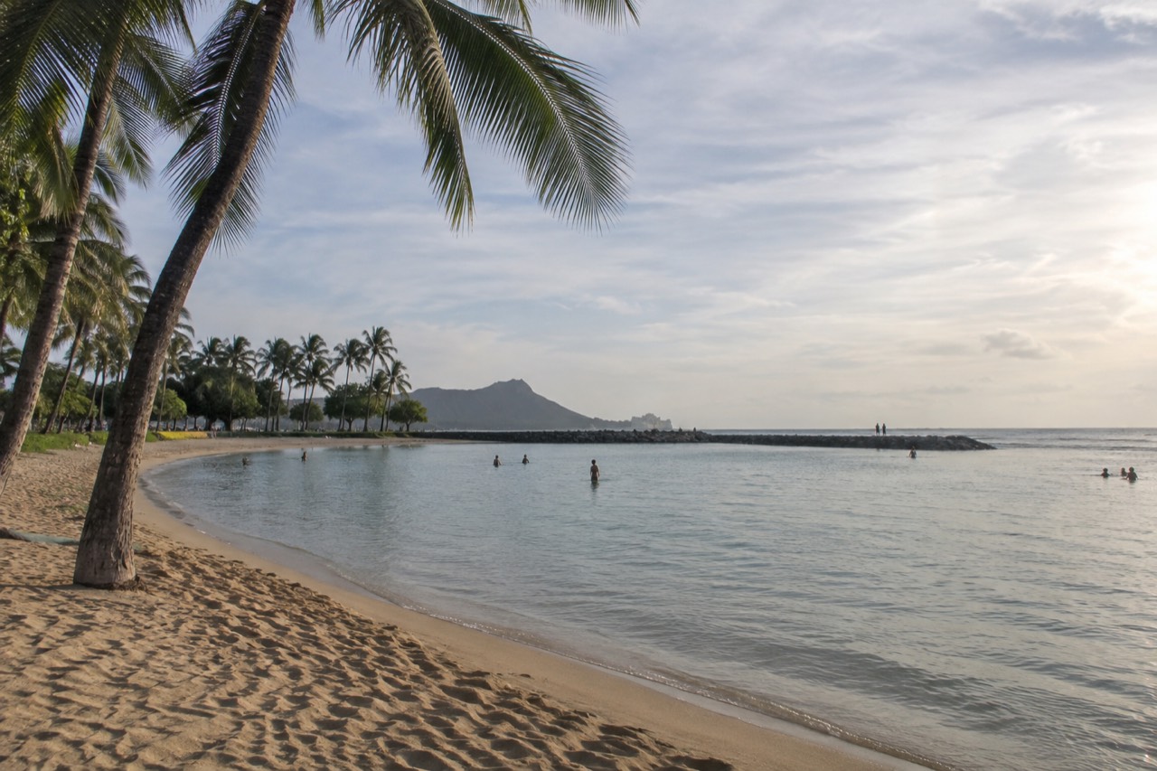 A calm lagoon beach on Oahu with palm trees and calm shallow water for swimming