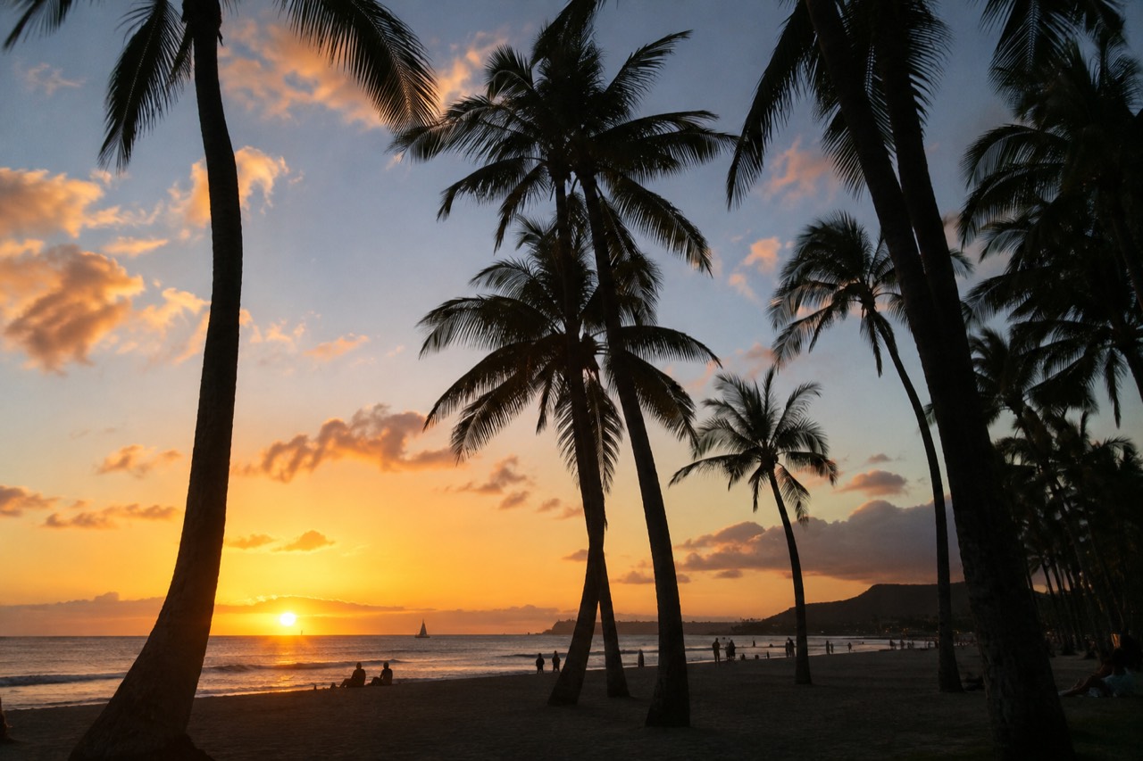 The sun sinking into the ocean behind a silhouetted palm-lined beach on the leeward coast of Oahu