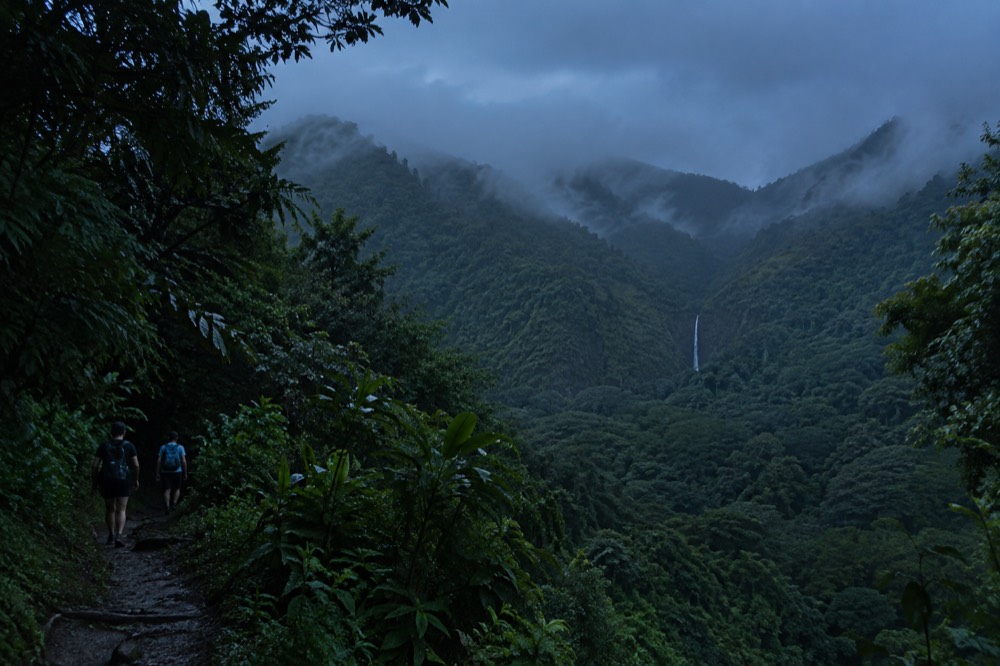 The Mānoa valley rainforest with mist hanging over the ridgeline above the falls trail
