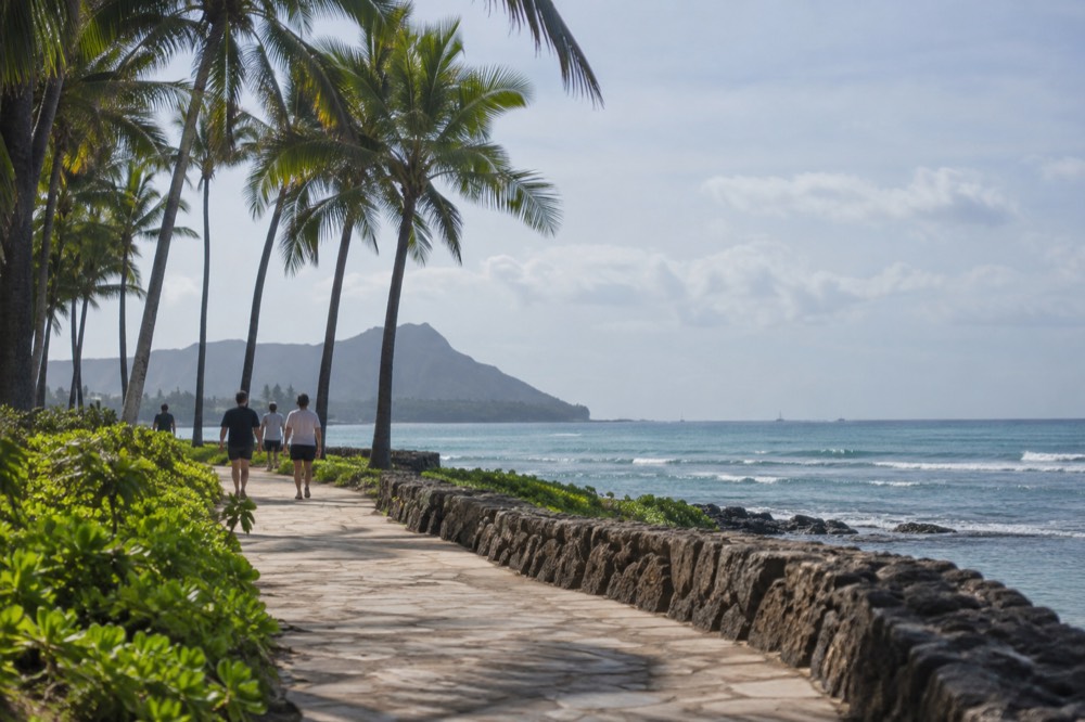A coastal walking path on Oahu with palm trees and calm blue ocean beyond