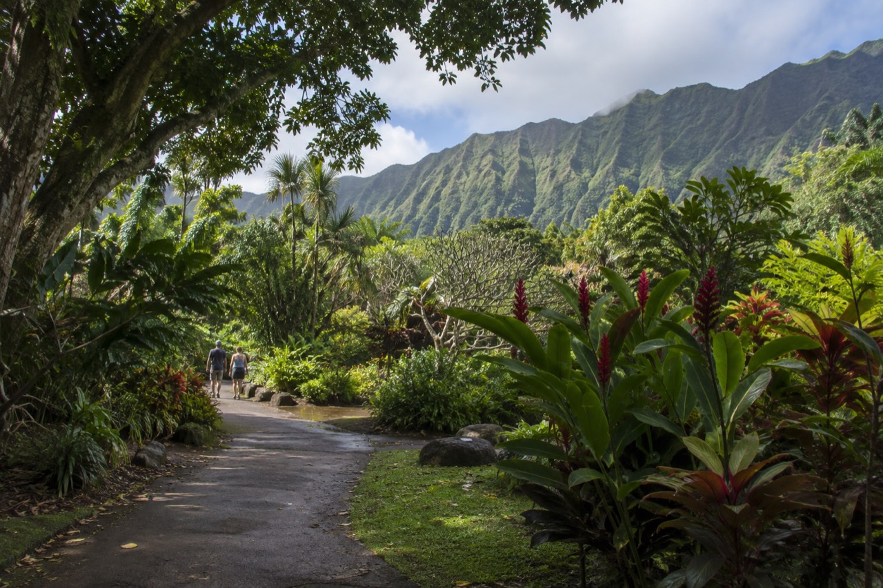 A quiet botanical garden path on Oʻahu with green mountain ridges rising behind it