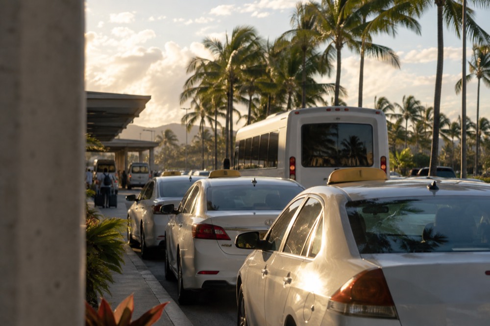 Taxis lined up at an airport curb pickup zone with a shuttle bus behind them and palm trees overhead