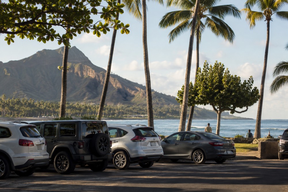Cars parked in a shaded lot with palm trees and coastal hills behind them