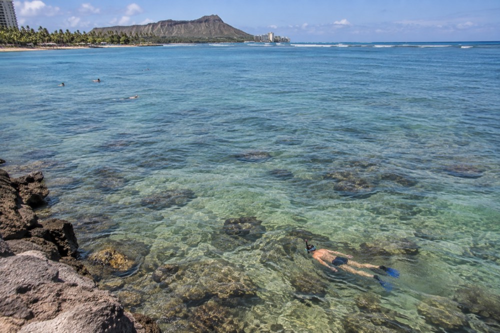 A snorkeler viewing fish over a shallow coral reef in calm blue water
