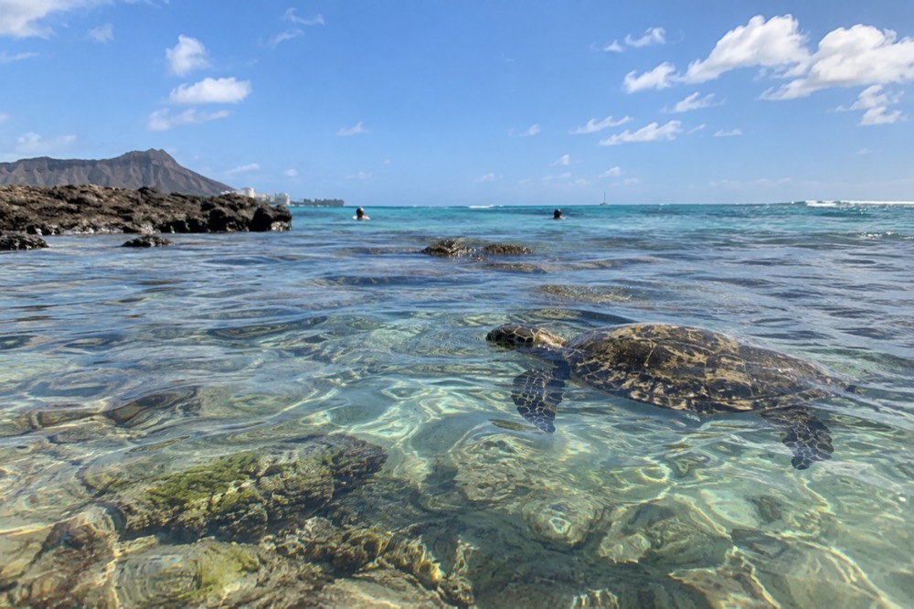 Calm morning water over a shallow reef with visible coral formations