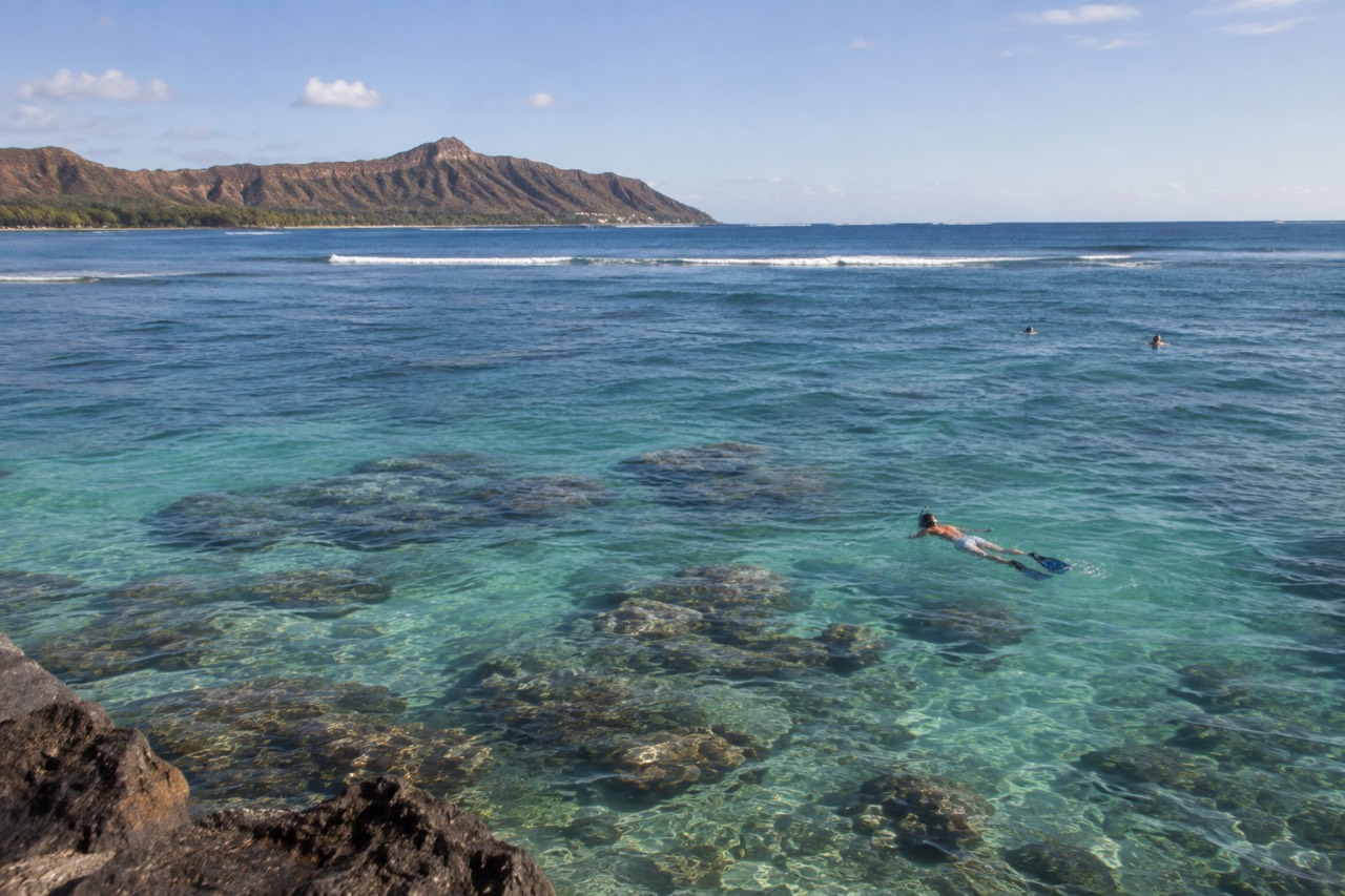 A snorkeler floating over a coral reef in clear turquoise water off Oahu